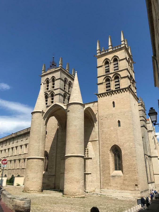 מונפלייה Superbe! Loft T3 -Ctre Historic- Prox. Place Comedie מראה חיצוני תמונה